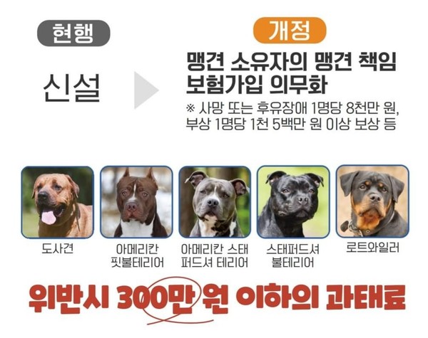 맹견 키워요? 책임보험에 가입하세요! 2