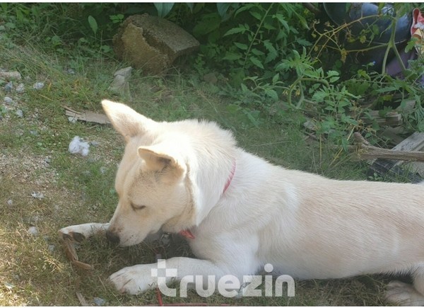 사마귀와 놀이 중인 꽃순이