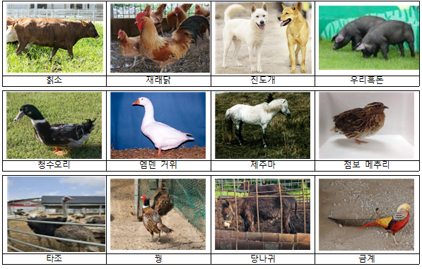 우리 가축유전자원, 국제적 인정 기회…등재 후보 모집