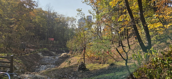 용인시 제공_시가 수지구 죽전동에 조성한 '도시 숲' 모습